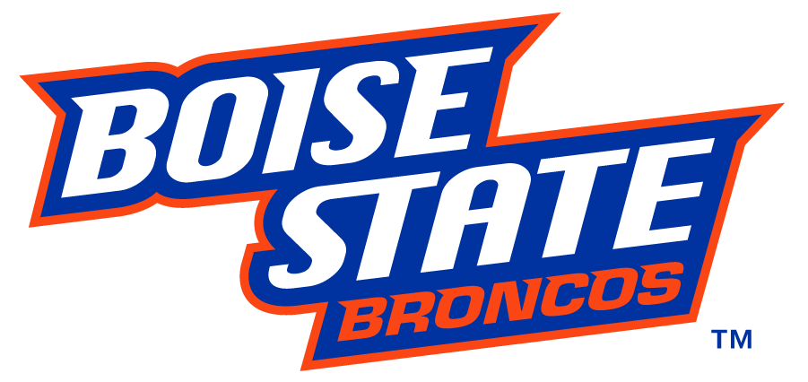 Boise State Broncos 2012-2013 Wordmark Logo v3 DIY iron on transfer (heat transfer)